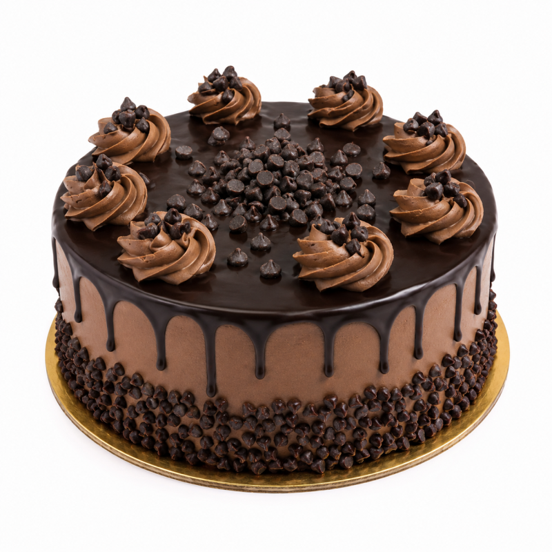 Chocochip Cake